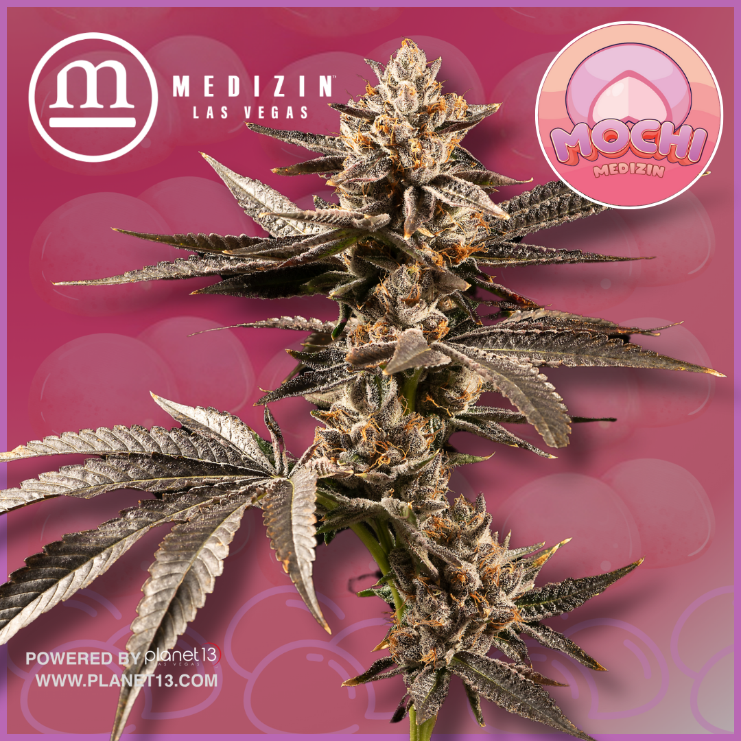 Photograph of product: Mochi 3.5g Prepack