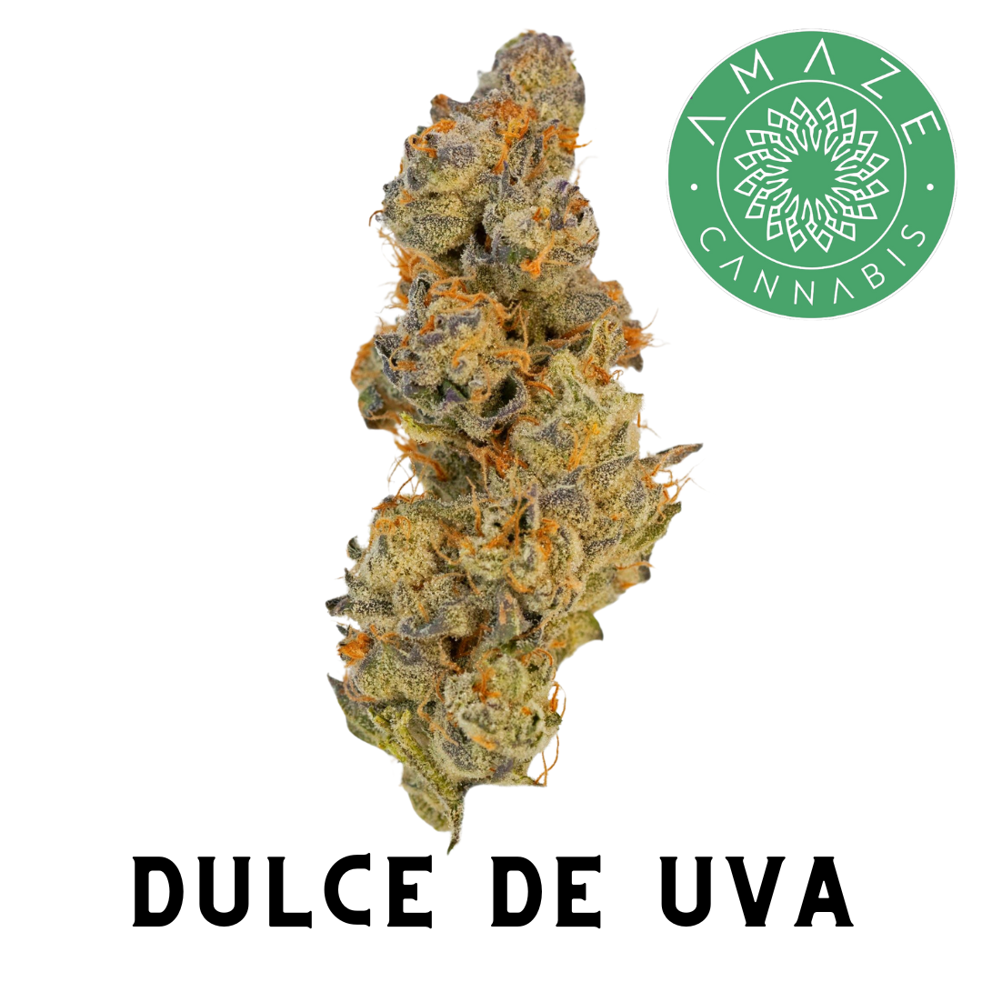 Photograph of product: AMAZE - PREPACK - 3.5G - DULCE DE UVA - Oui'd HYBRID