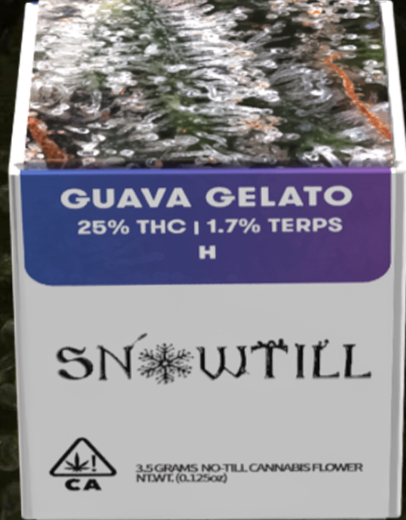 Photograph of product: SnowTill | Slushee premium indoor flower 3.5g | 17% TH-oui