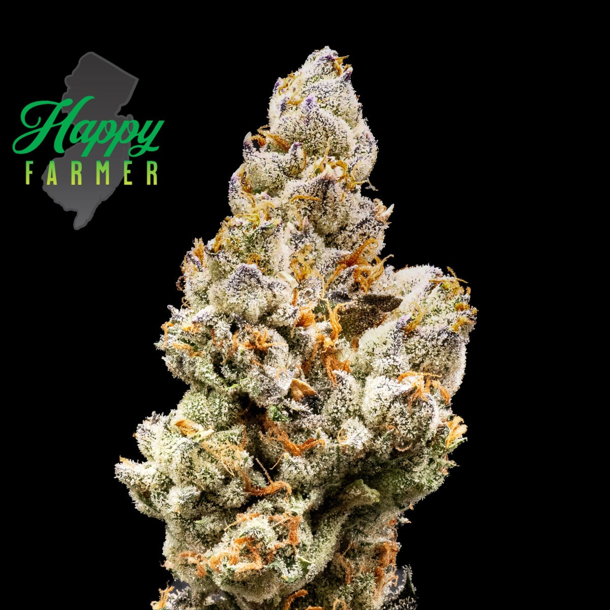 Photograph of product: Flower | Whole Bud | Gunpowder Milkshake | 3.5g