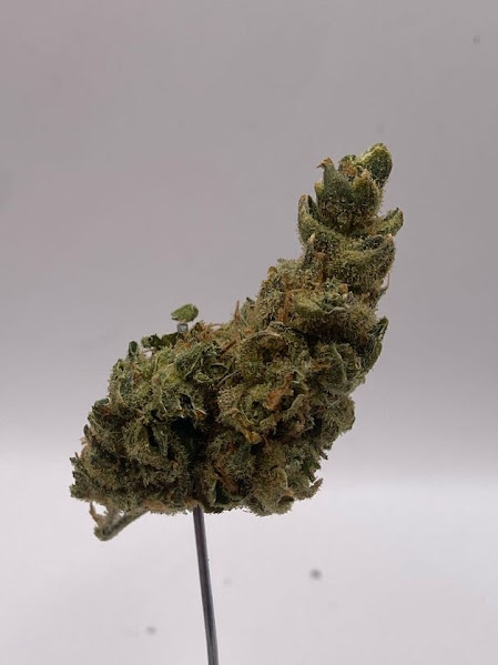 Photograph of product: The Network | Oui'd | Jack Herer - 28g