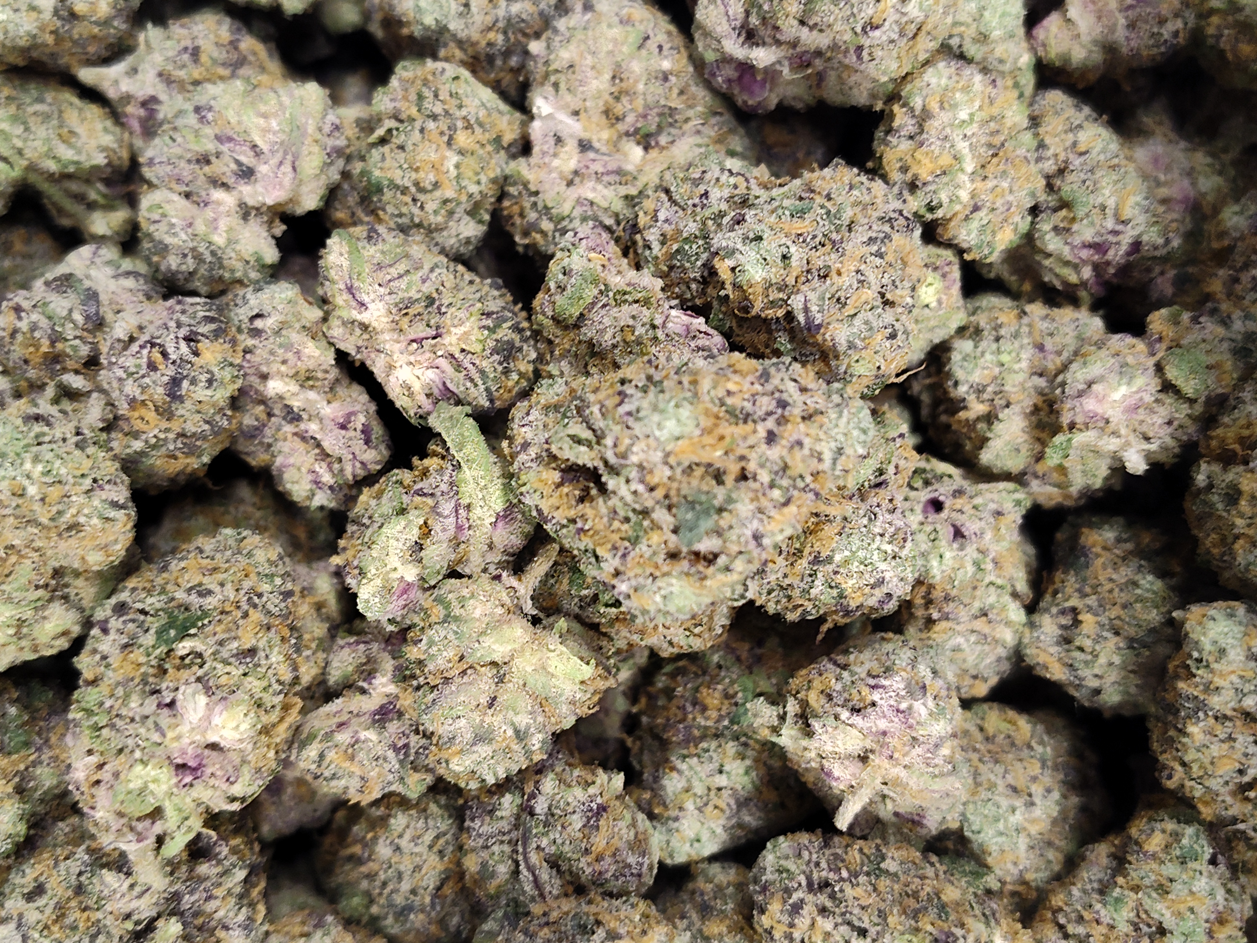 Photograph of product: Local Grove - Juicee J - Bulk Flower - 28g