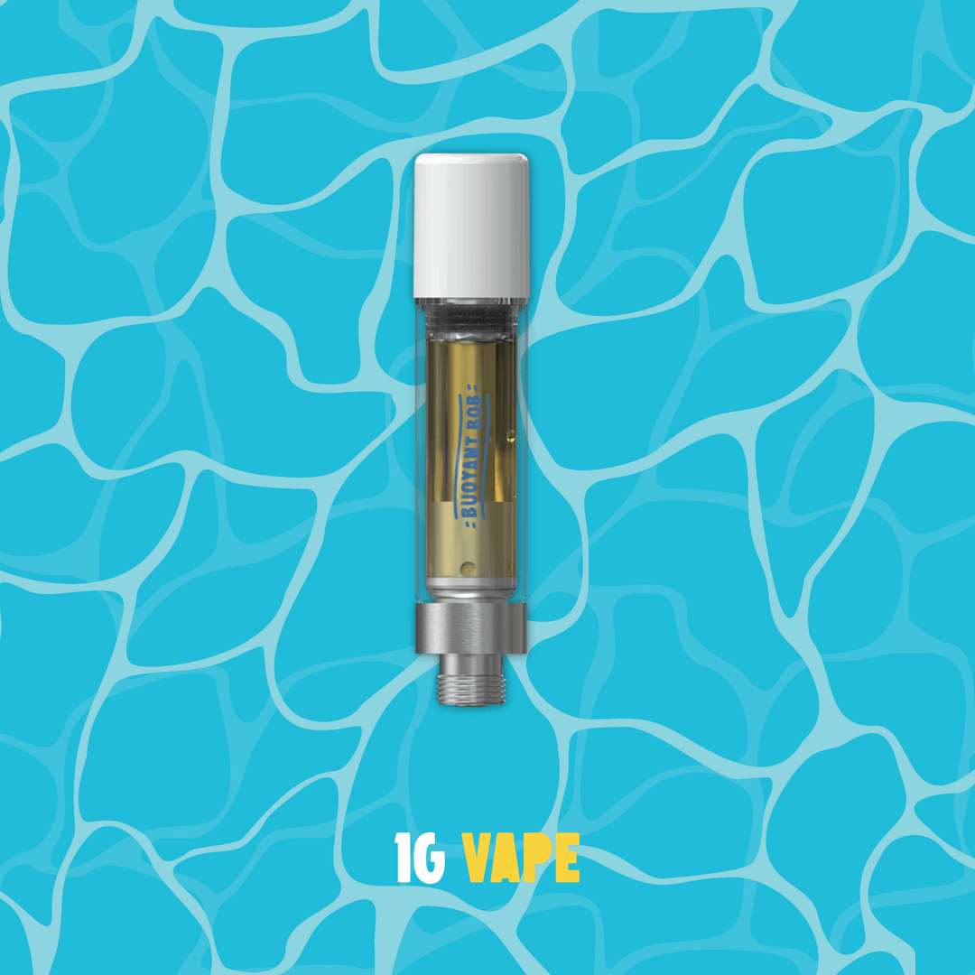 Photograph of product: 1g Vape | Watermelon Mojito