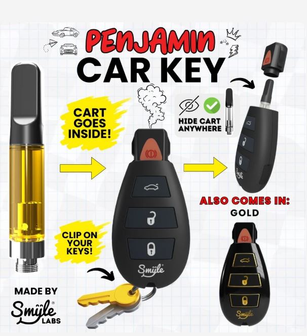 Photograph of product: Car Key | 510 Battery