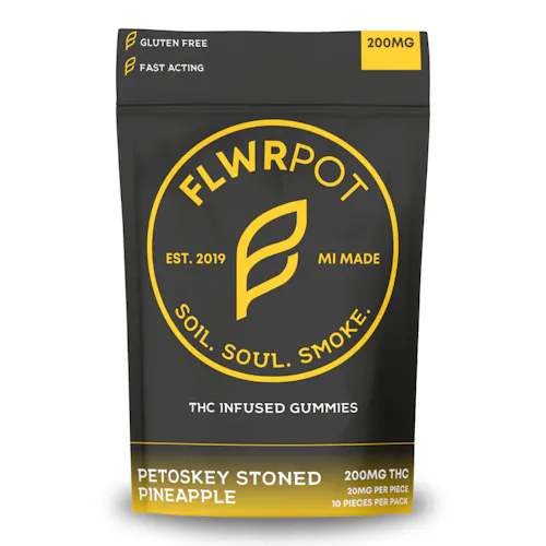 Photograph of product: Petoskey Stoned Pineapple | FLWRpot