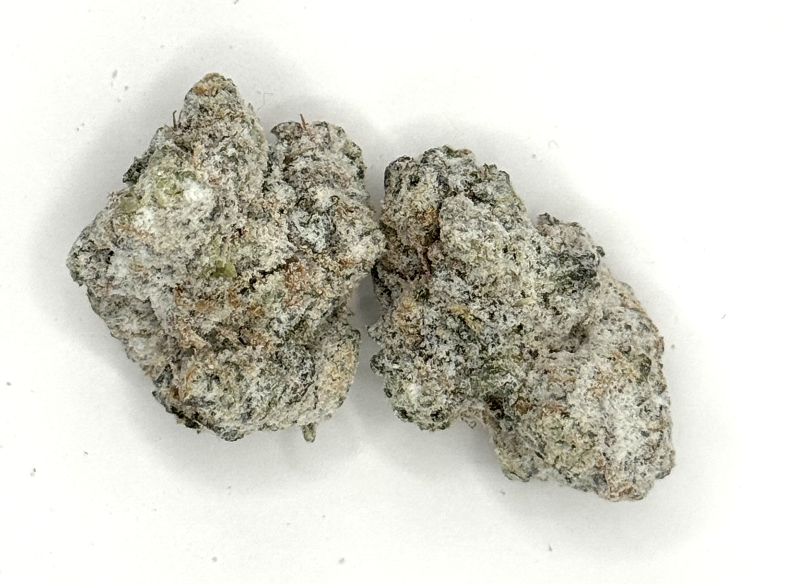 Photograph of product: Snow Caps | White Burgundy | 3.5G TH-ouiA Infused Flower