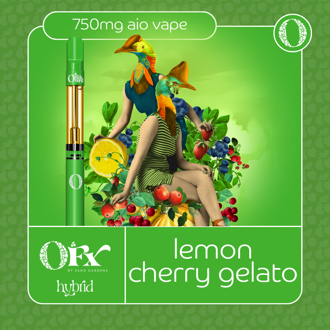 Photograph of product: Lemon Cherry Gelato Rosin- OrchardFX  (750mg)