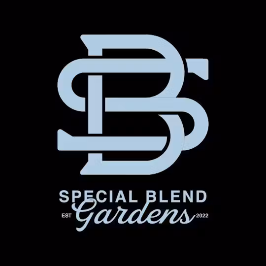 Photograph of product: Special Blend - Pre-Roll - OG Purple