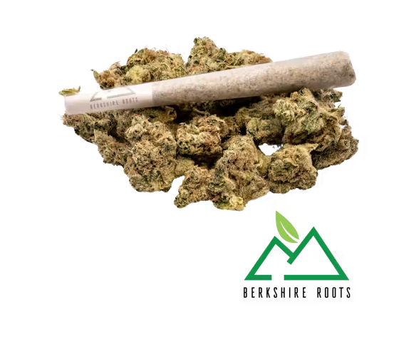 Photograph of product: Berkshire Roots | Orange Chemeleon