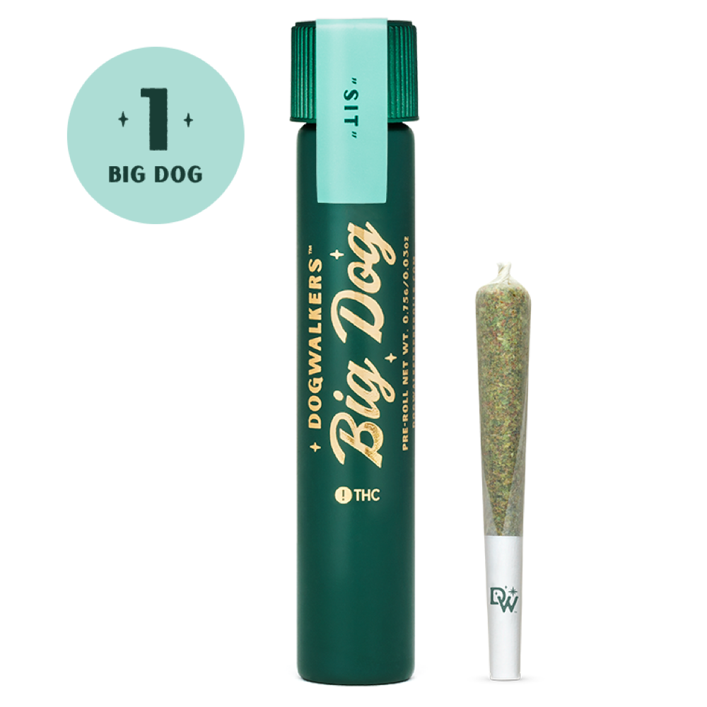 Photograph of product: Pre-Roll | Dogwalkers | Brownie Scout [Sit]