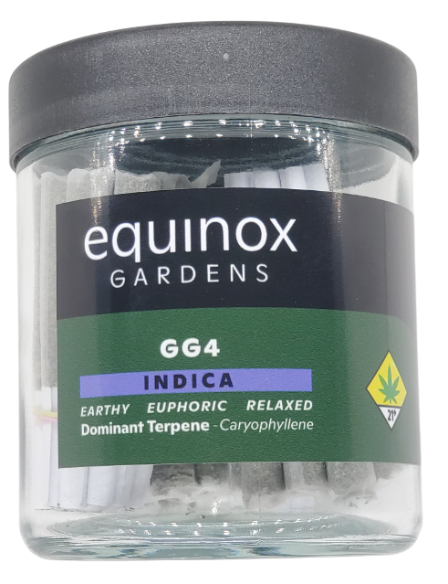 Photograph of product: Equinox PR Jar GG4 56 x 0.5g