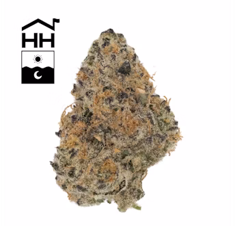 Photograph of product: Dulce De Uva | TAX INCLUDED - 28g