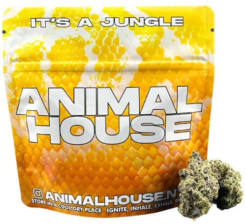 Photograph of product: Animal House | Governmint Oasis | Sunlight Assisted Indoor Flower | 3.5g
