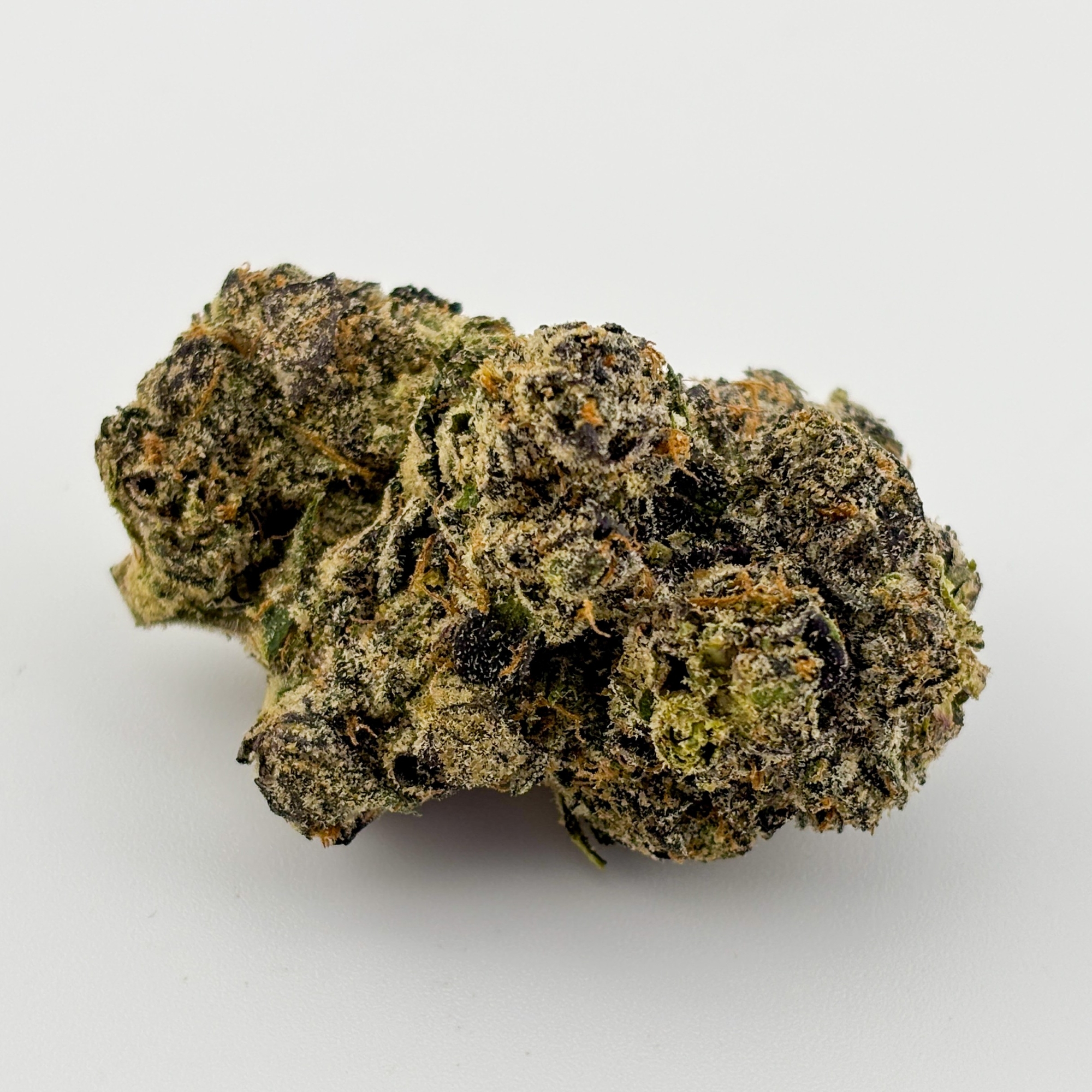 Photograph of product: Highly Cultivated | Sixlets (9179)