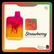 Photograph of product: Disposable Vape - Strawberry - Dank Tank - REC