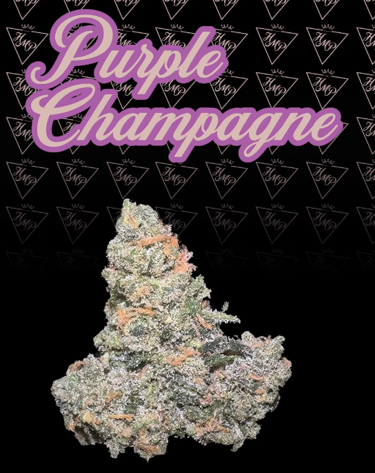 Photograph of product: Flower | Purple Champagne - 3.5g