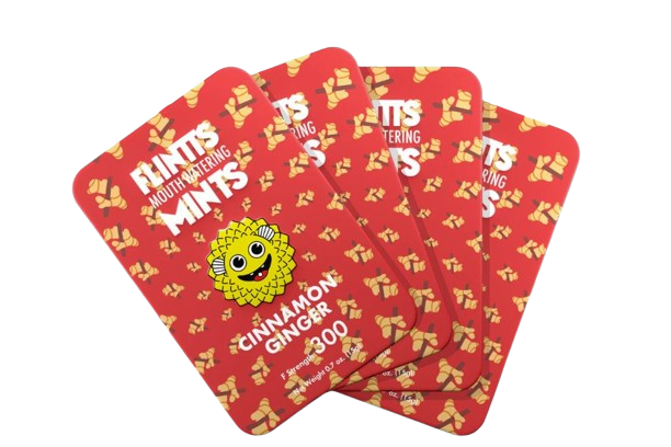 Photograph of product: Flintts - Cinnamon Ginger I F-300 - 30 tabs