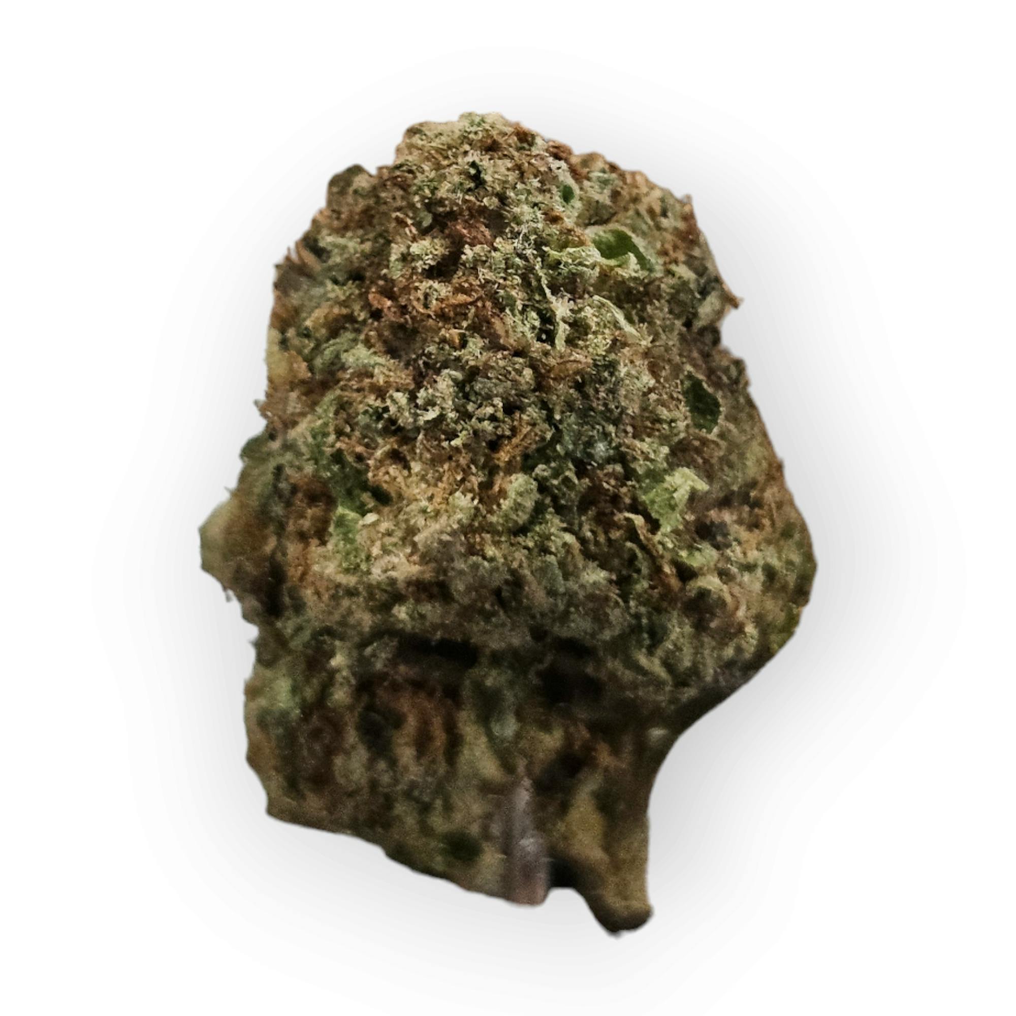Photograph of product: HT - Gazzurple (1/8) - Oui'd