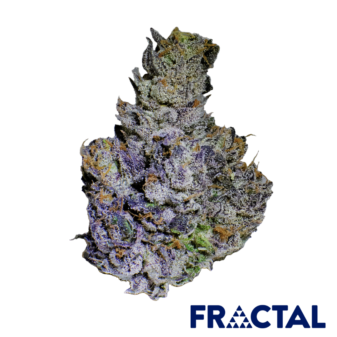 Photograph of product: Fractal | Sherb Cream Pie - 1g