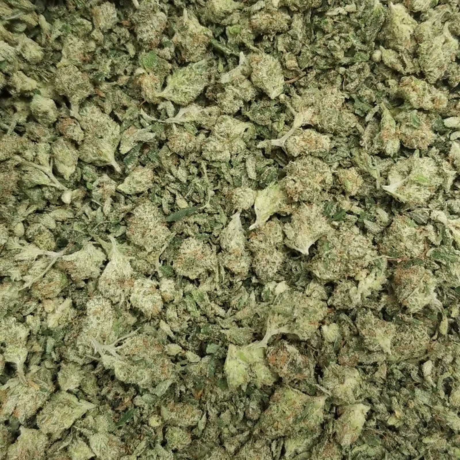 Photograph of product: Afghani Shake