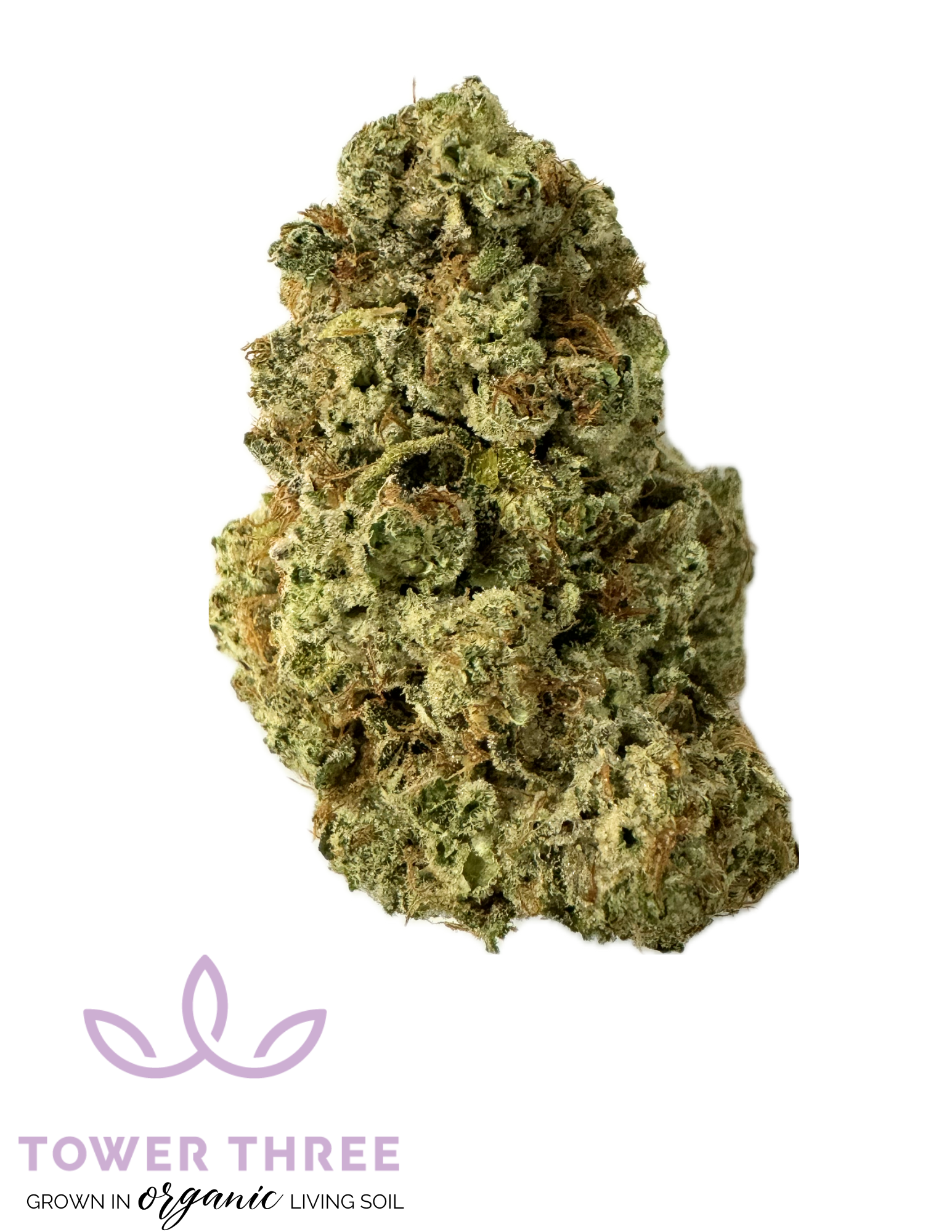 Photograph of product: Moonbutter Hybrid Flower | 3.5g | Tower Three