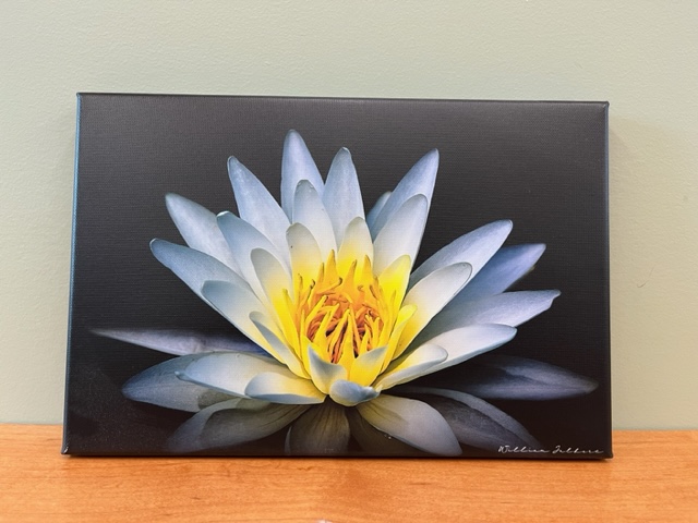 Photograph of Product: Bill Jalbert Art | Small Nature Photography Print