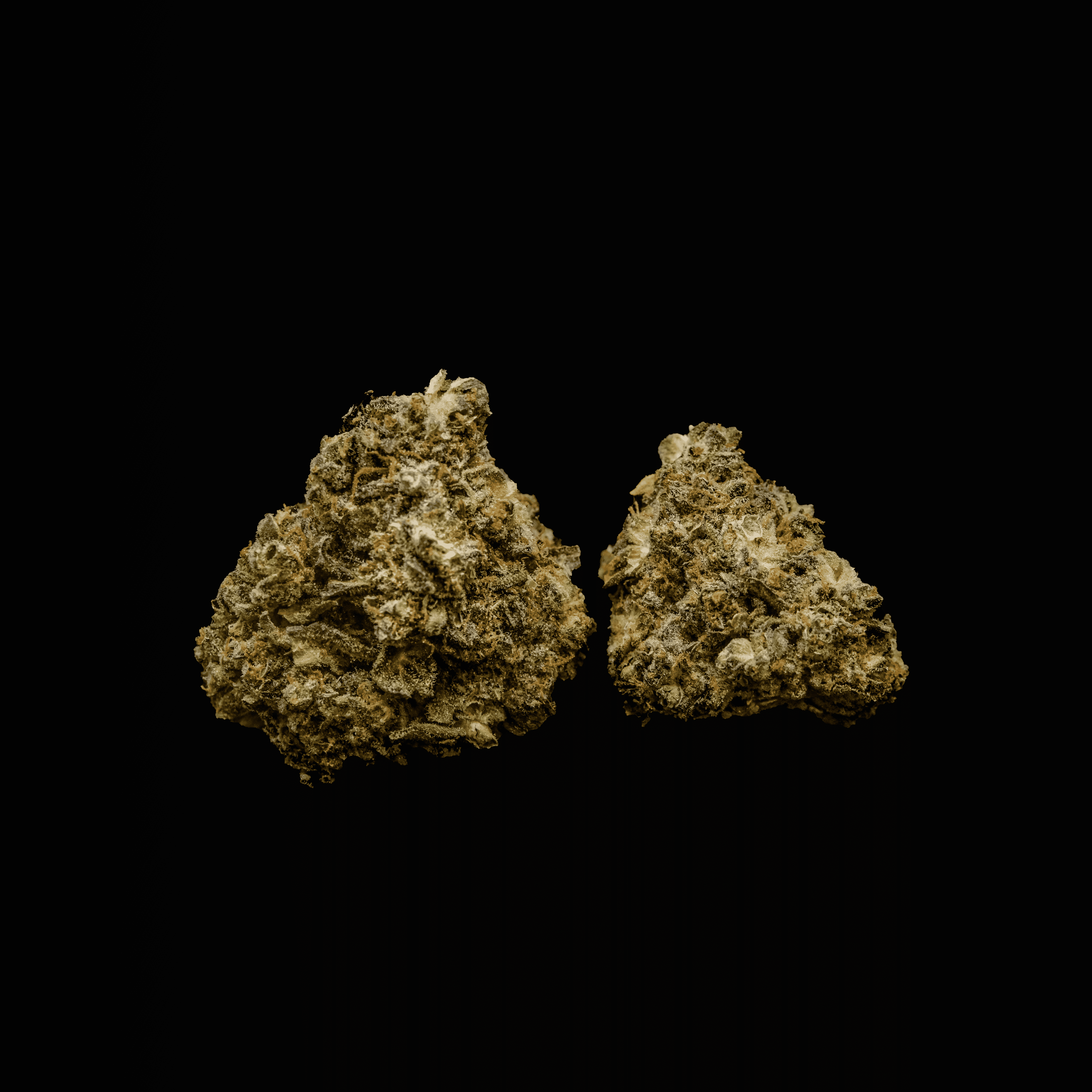 Photograph of product: Curaleaf Ranger Kush Whole Flower 28.26% (H) 3.5g - 00845