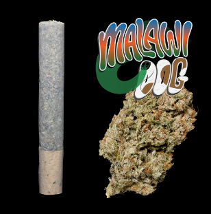 Photograph of product: Malawi Dog Pre-roll (1g)