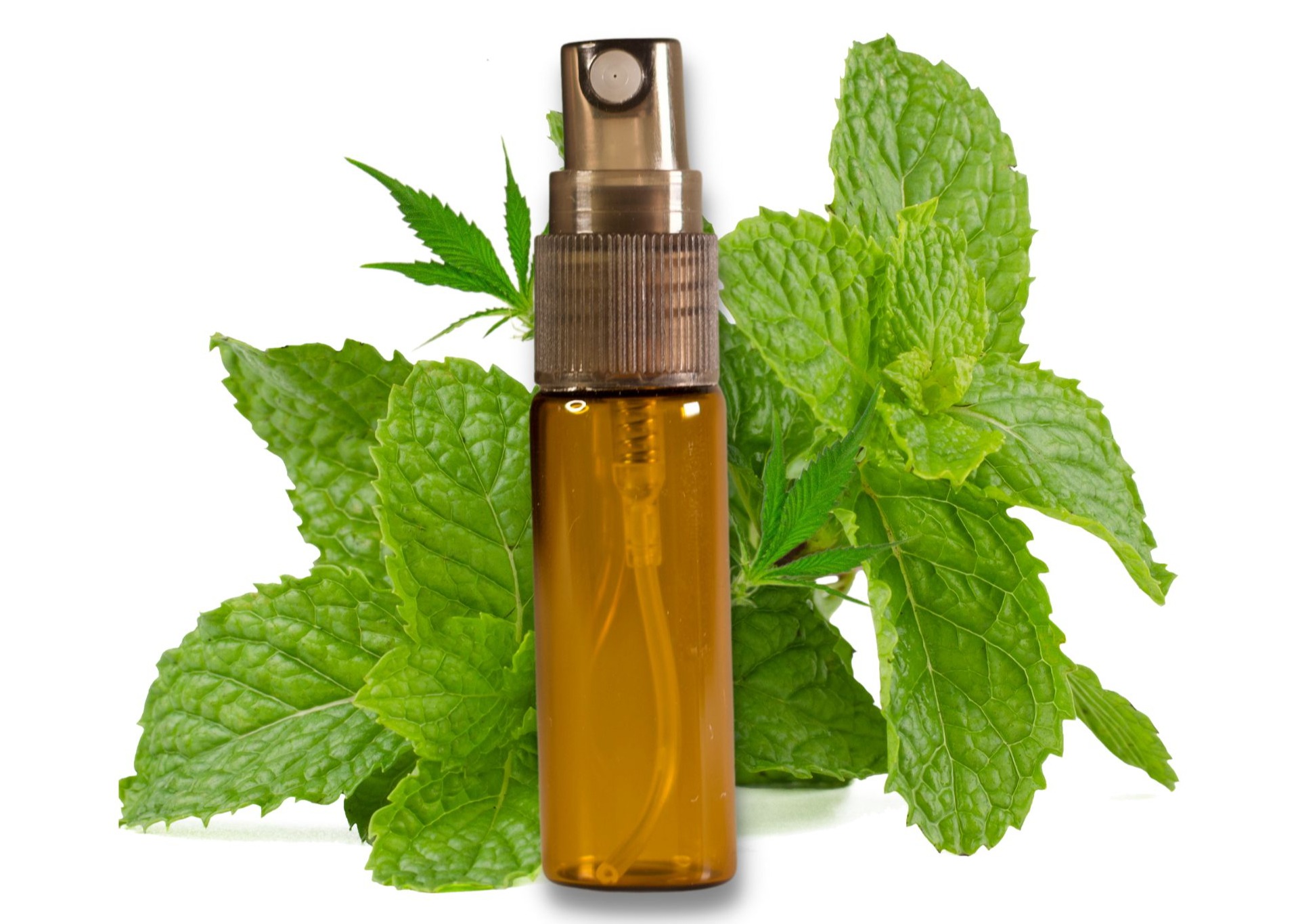 Photograph of product: Aloha Mist-Peppermint