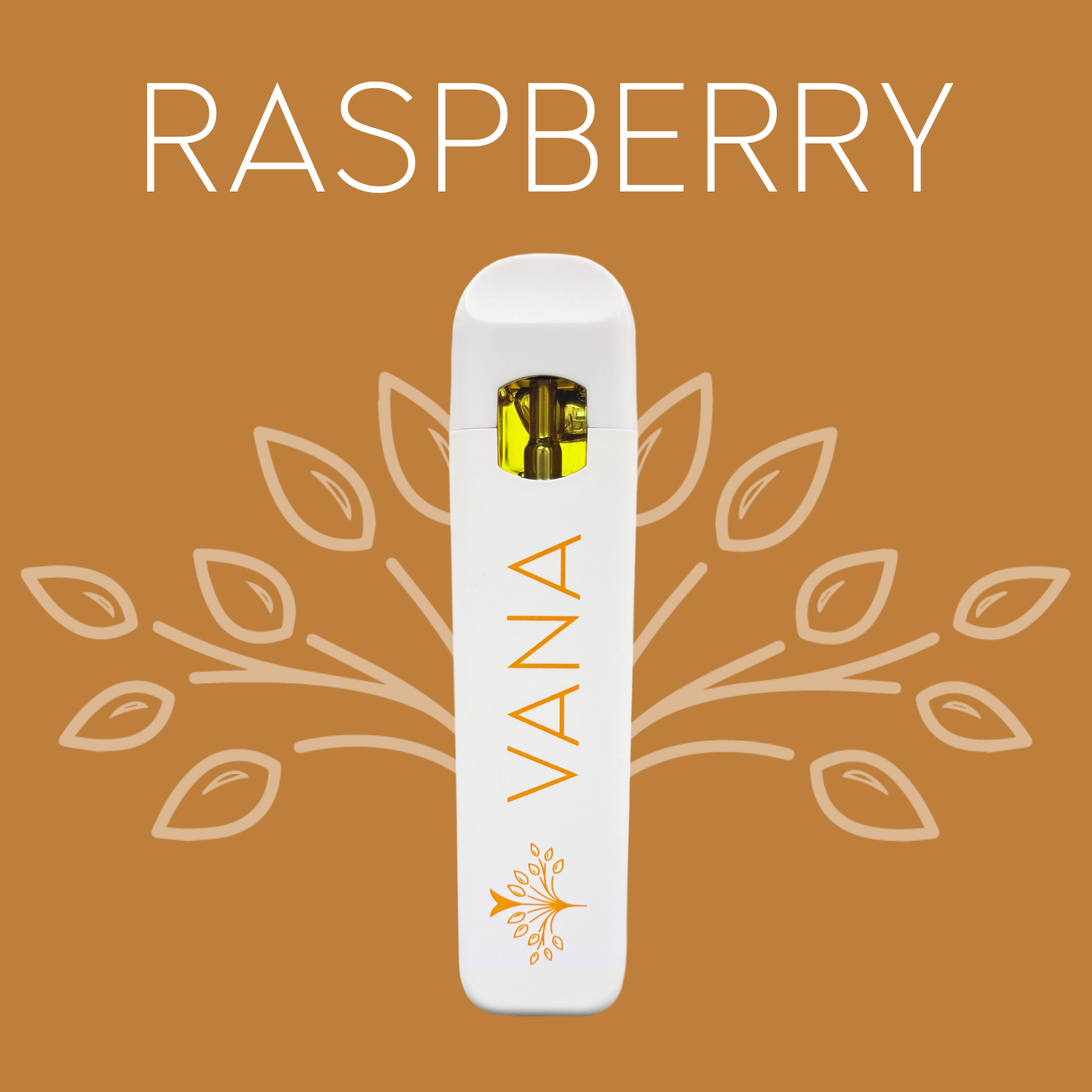 Photograph of Product: Vana | 1g Disposable | Northern Lights | Indica