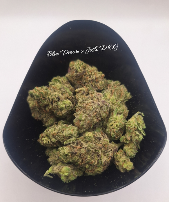 Photograph of product: BLUE DREAM X JOSH D OG | FLOWER - 28g