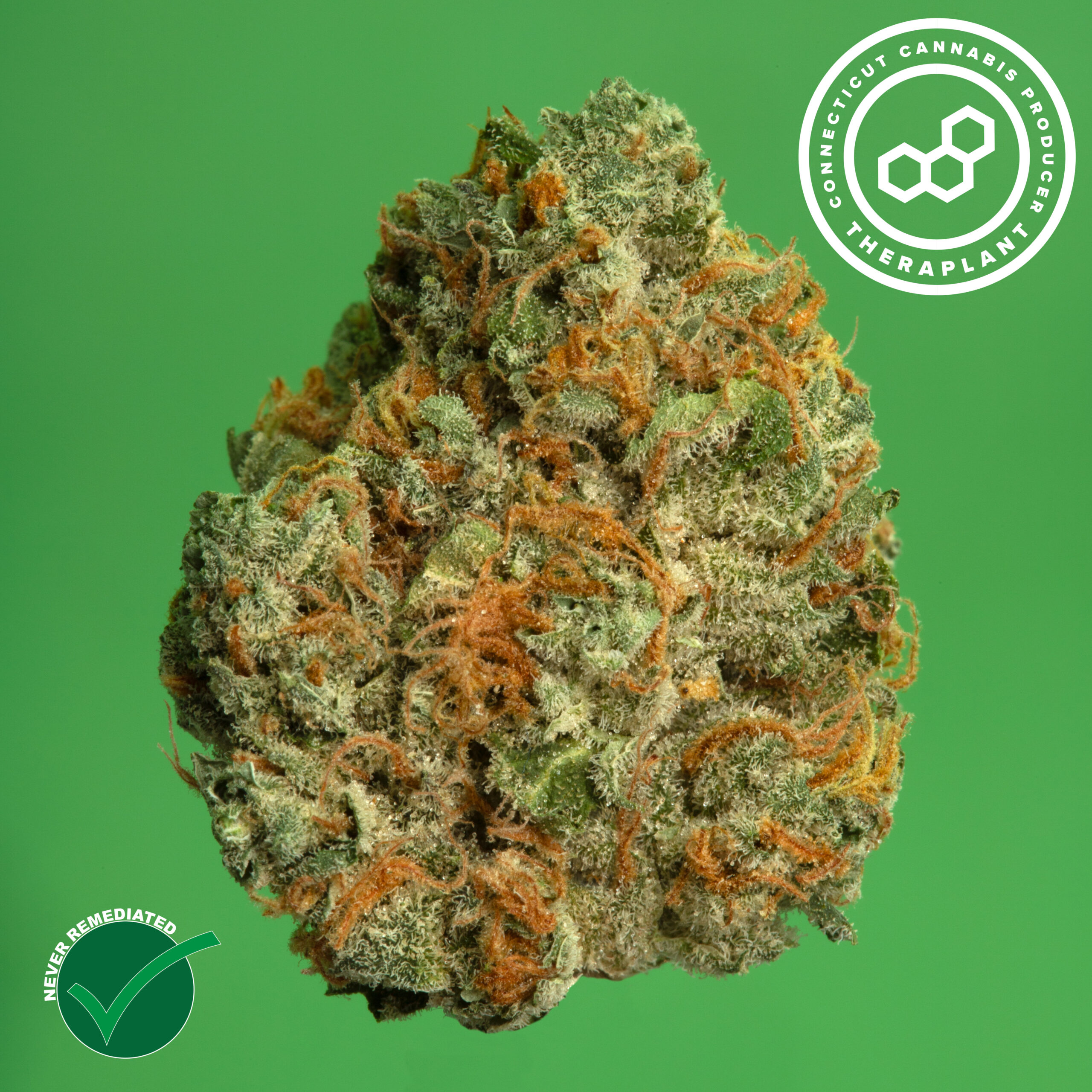 Photograph of product: Theraplant OG Kush Whole Flower 19.64% (H) 3.5g - 00911