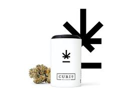 Photograph of Product: Curio Mango Trainwreck Baby Buds - - Pre-Packed - 14g