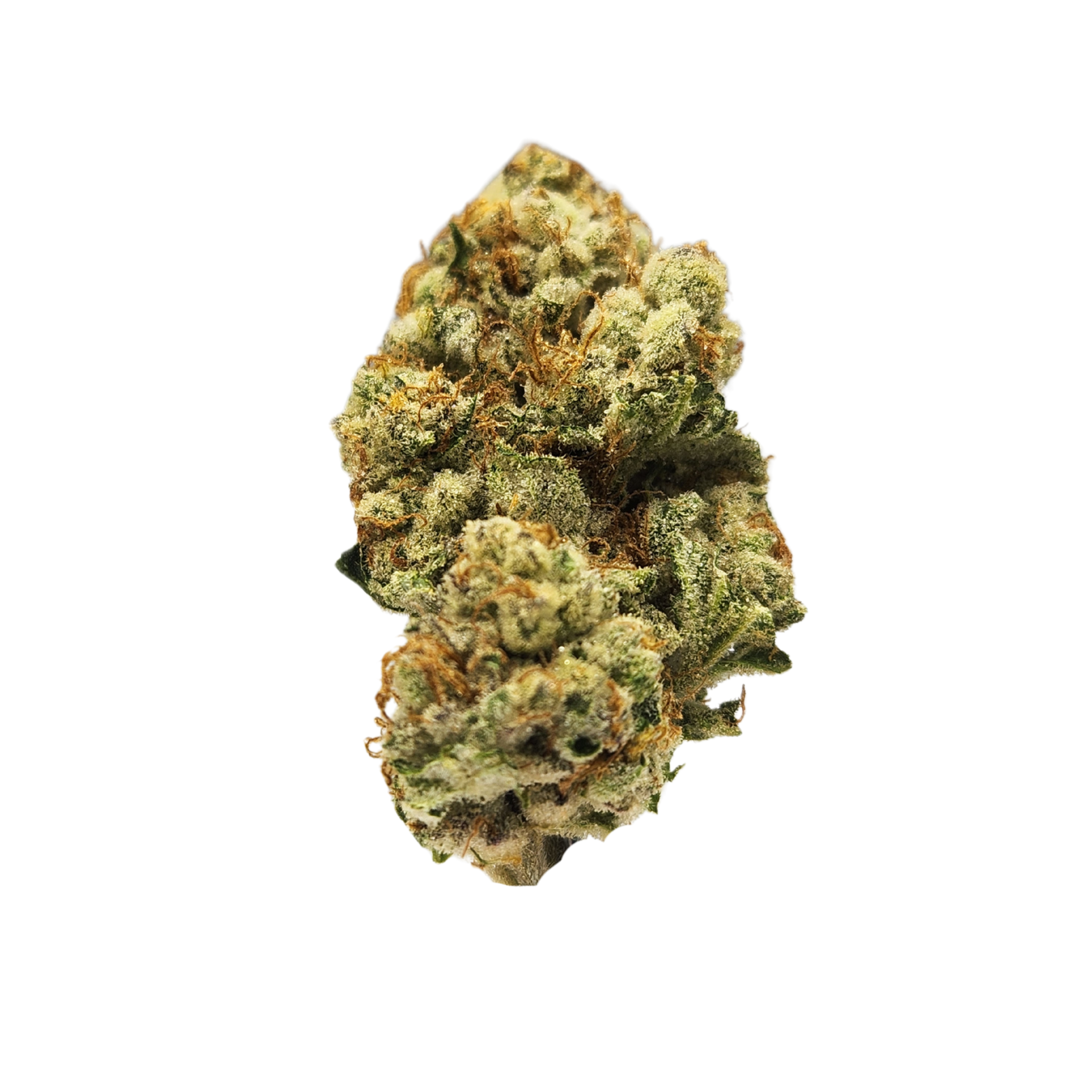 Photograph of product: Wedding Cake | Pre-Packaged Flower | 3.5g