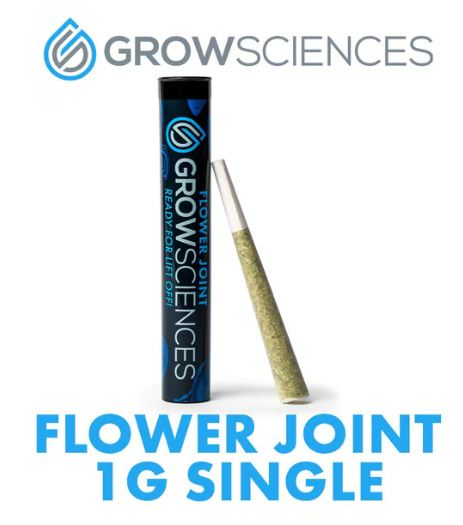 Photograph of product: Florida Jack | Preroll