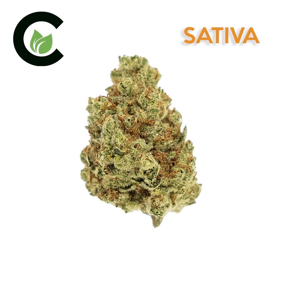 Photograph of product: Cultivate | J1 - 3.5g