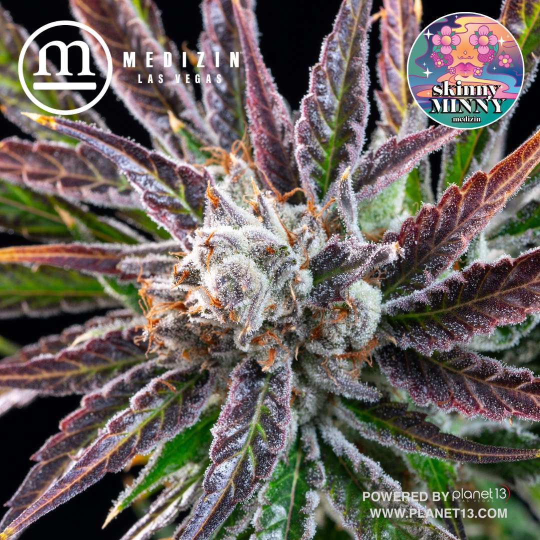 Photograph of product: Skinny Minny 3.5g Prepack