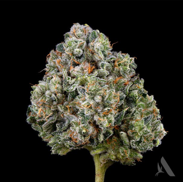 Photograph of product: Affinity Flower 3.5g Sunshine Daydream (I)