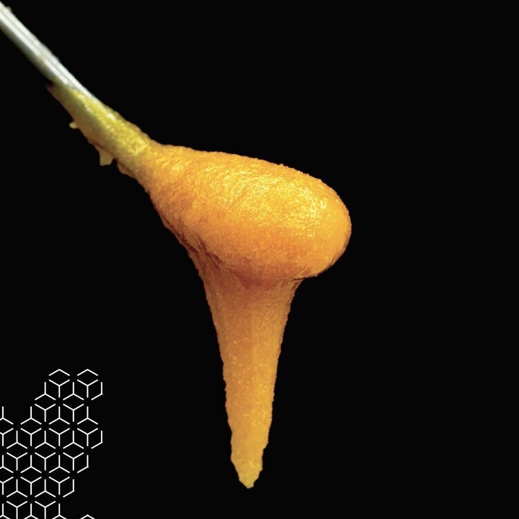 Photograph of product: Grape Sherbanger - 1g Sugar Sauce - Chromatic