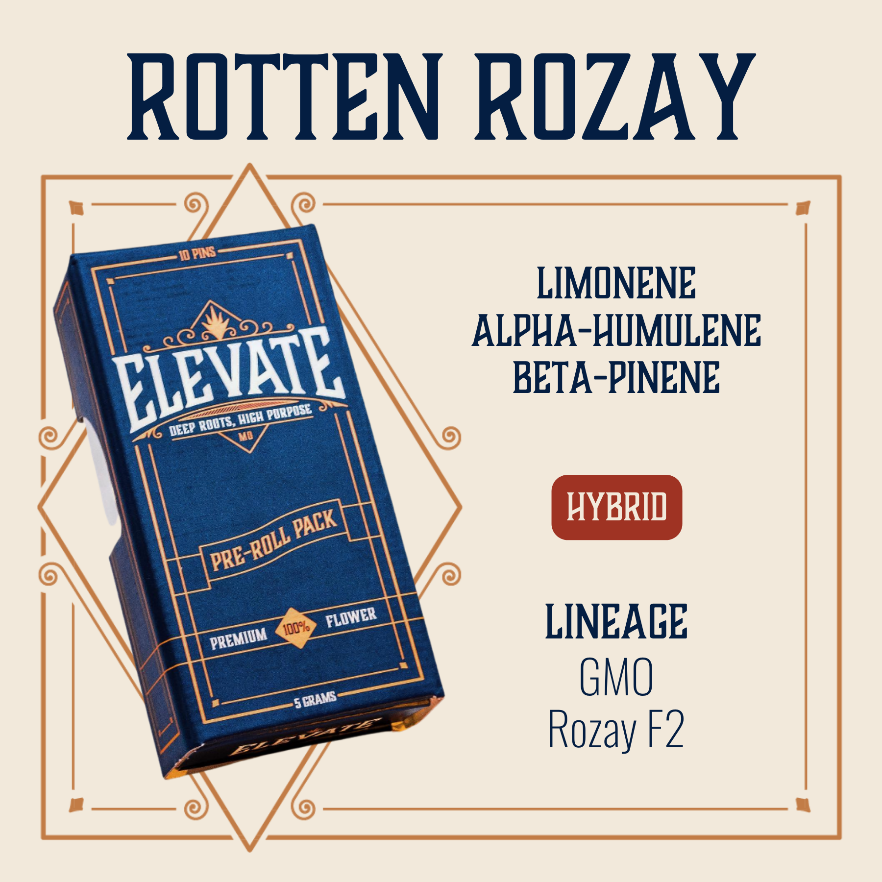 Photograph of product: Rotten Rozay Pins Pre-Roll | 10-pack