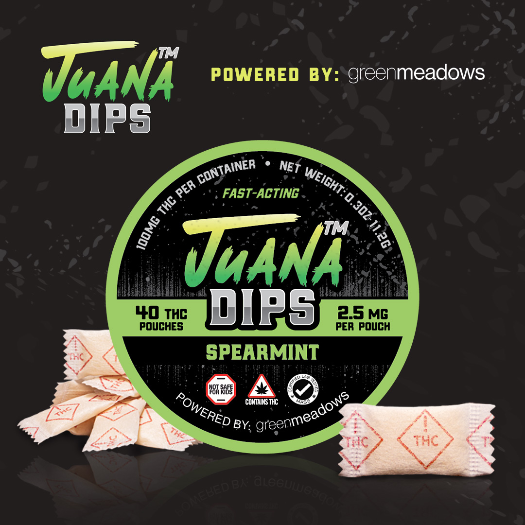 Photograph of product: Spearmint | TH-oui Pouches 20pk | 100mg