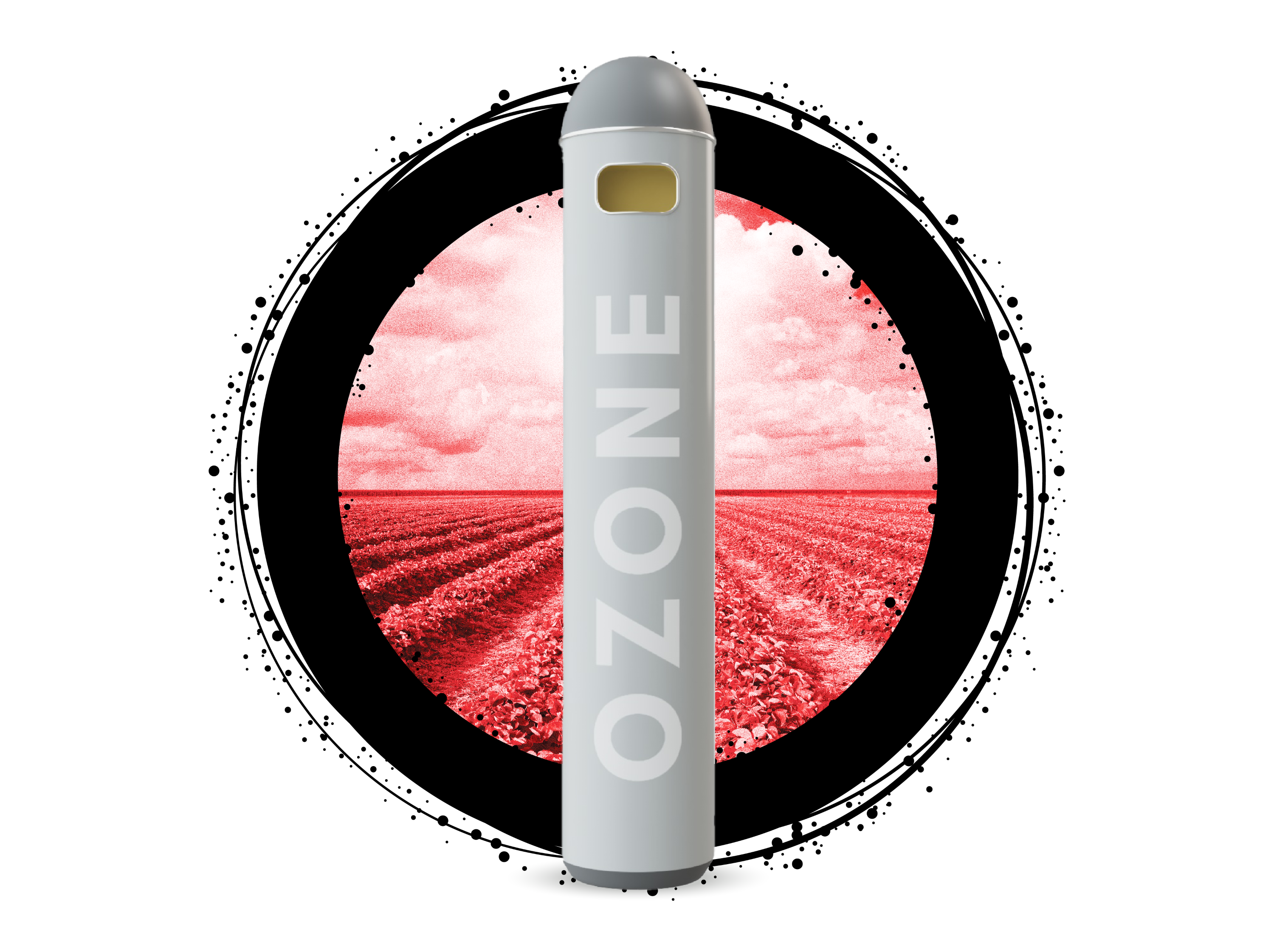 Photograph of product: Strawberry Fields | 1g | Disposable Vape | Ozone