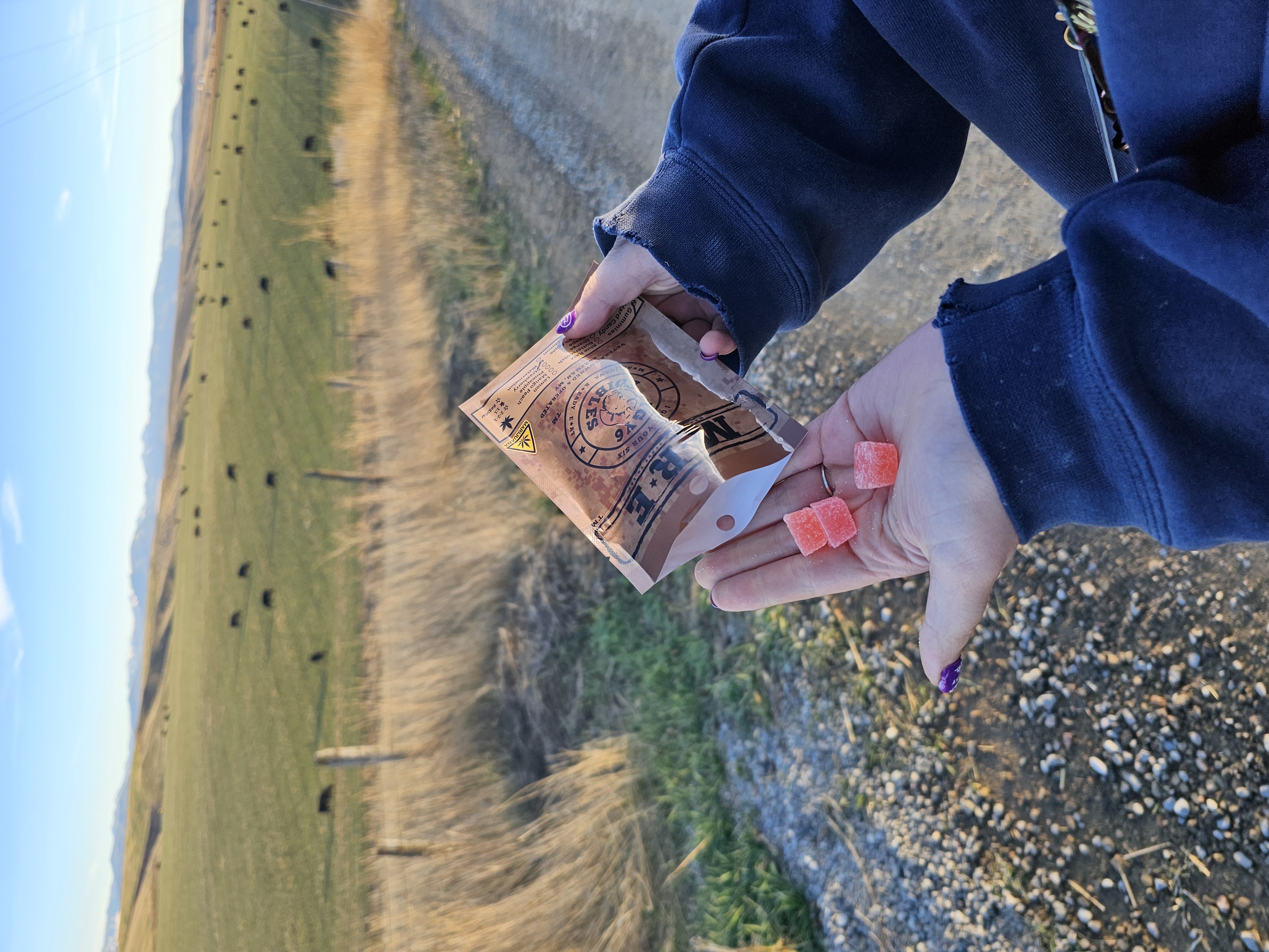 Photograph of product: Gummies | Strawberry | Live Rosin | Hybrid | 100mg