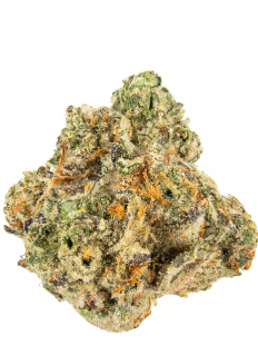 Photograph of product: Malibu Purple OG | Innerstate - 14g