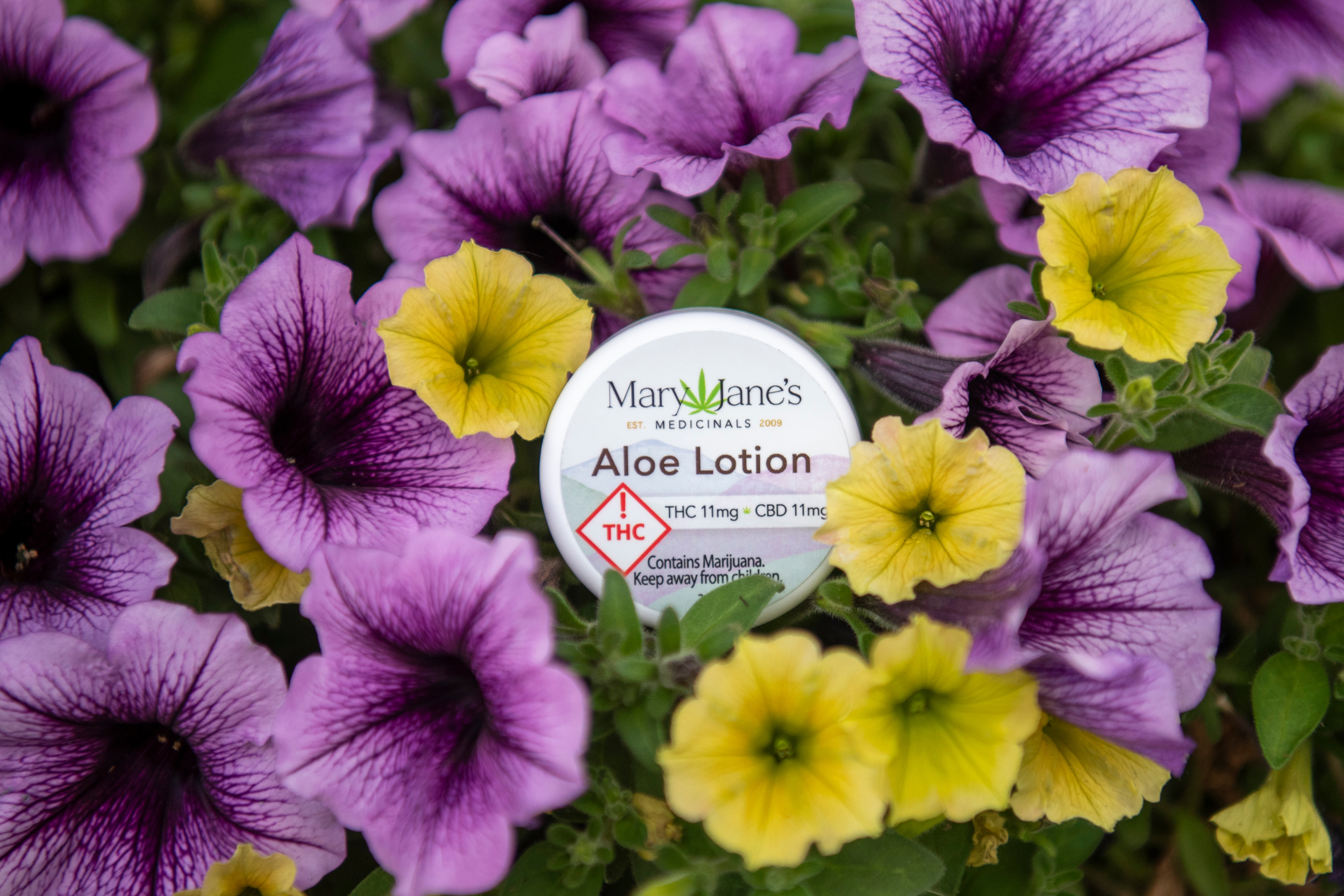 Photograph of product: Aloe Lotion .3oz