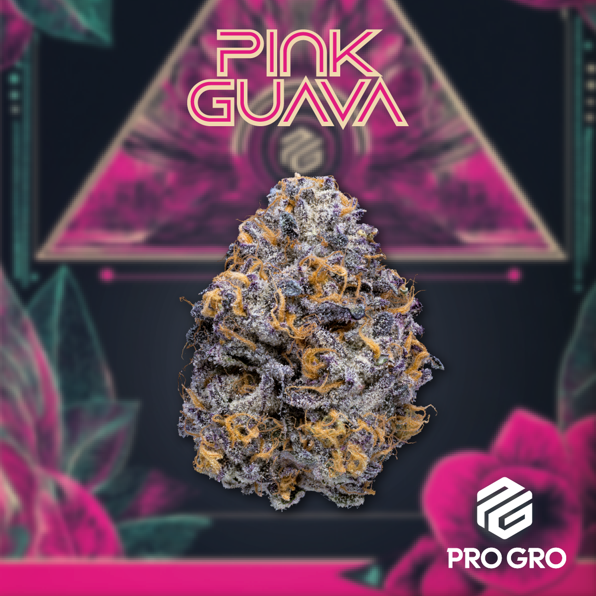 Photograph of product: ProGroCo Bulk | Pink Guava - Hybrid - 14g
