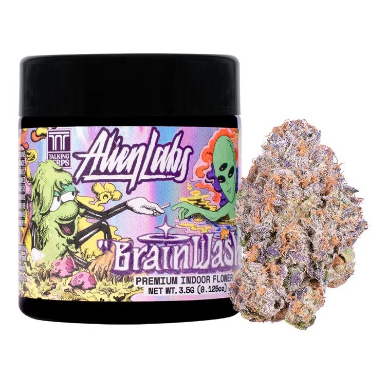 Photograph of product: BRAIN WASH EIGHTH