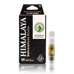 Photograph of product: Himalaya - Gush Mints - Solventless Rosin (500mg)