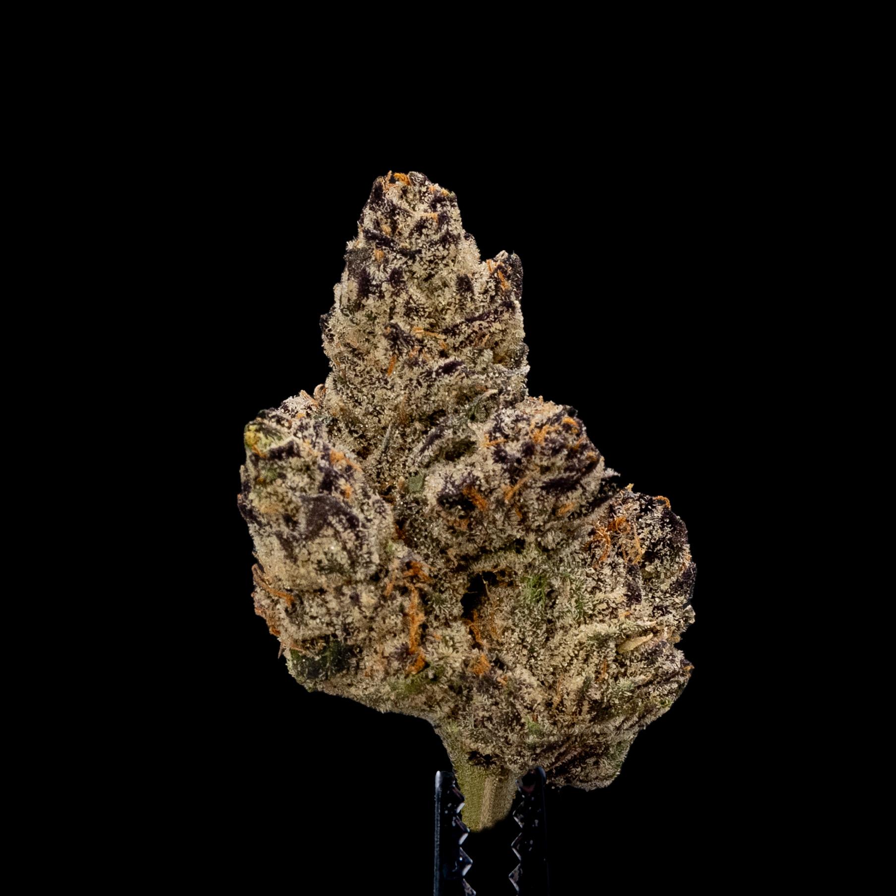 Photograph of product: Gud Gardens My oh My *Indoor* - 28g