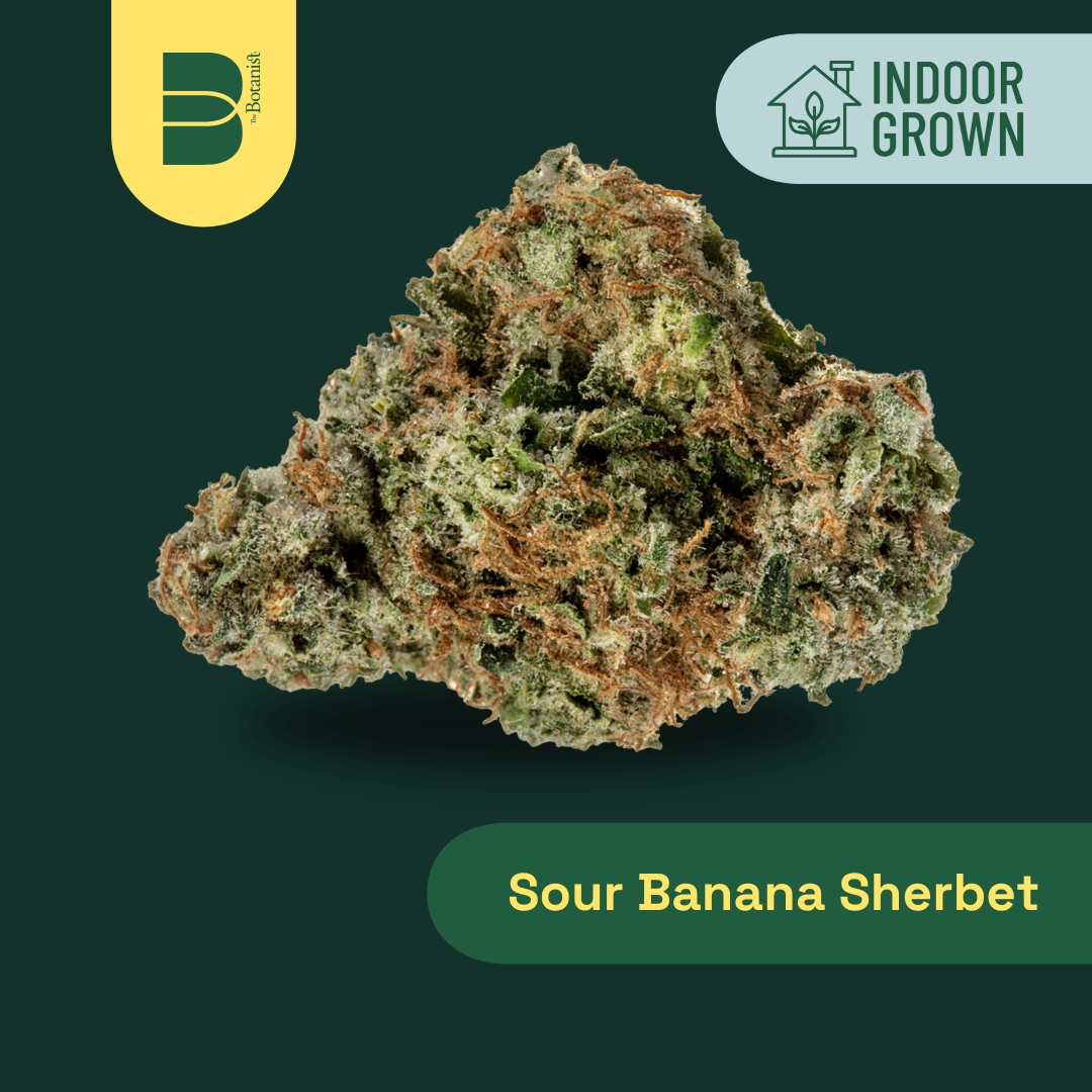 Photograph of product: Sour Banana Sherbet | Flower 3.5g